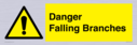 danger-falling-branches~